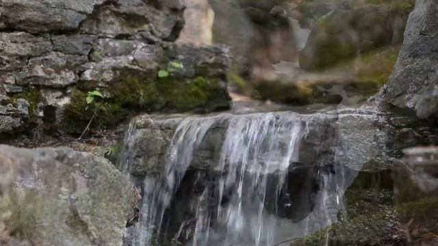 Meditation in nature/ relaxing music/ fall sleep/ focus and concentration/ positive energy смотреть онлайн