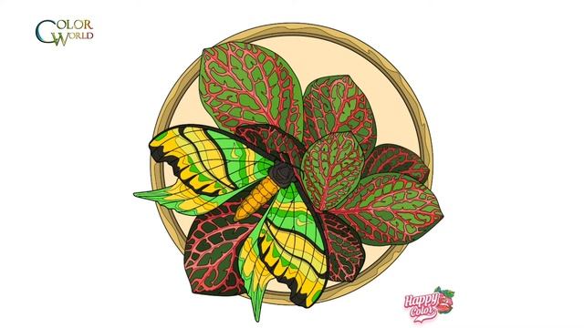 Color by numbers for adults | Happy color app.| Butterflies #4 смотреть онлайн