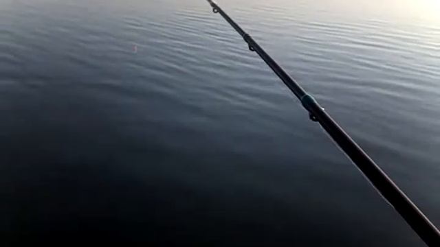 поклевка окуняоз.Червяное.2