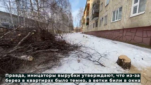 Кому мешали деревья_ 25.11.2020 смотреть онлайн