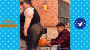 Приколы с азиатами 3.mp4