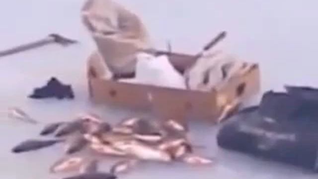 Поплавок для зимней рыбалки смотреть онлайн