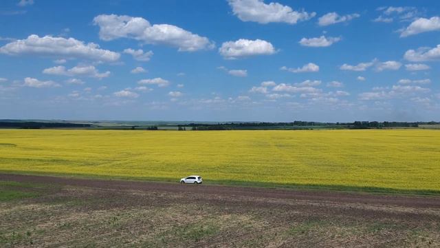 DJI Spark Active Track при сильном ветре смотреть онлайн