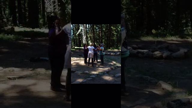 Redwood Forest & Mount Shasta