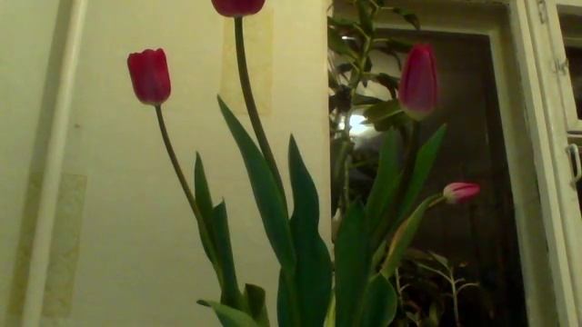 Видео с веб-камеры. Дата: 7 марта 2014 г., 22:21. смотреть онлайн