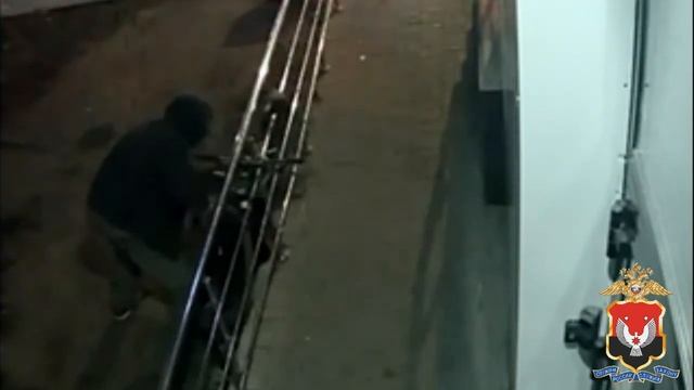 В Ижевске полицейскими задержан подозреваемый в кражах велосипедов смотреть онлайн
