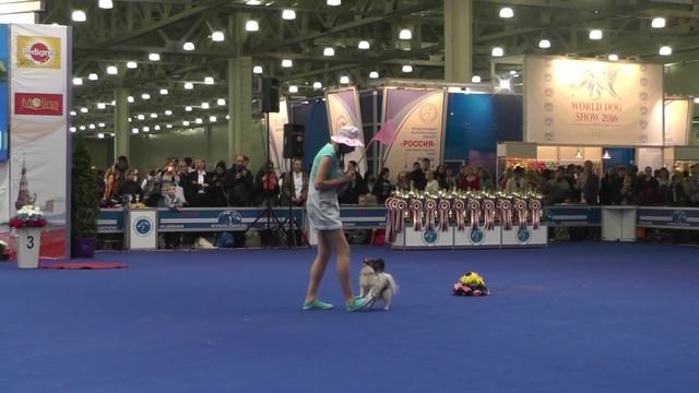 Танцы с собаками "Россия - 2014". Dog Dancing. Canine Freestyle. смотреть онлайн