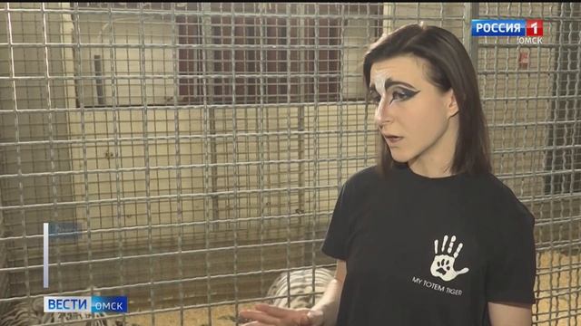 Что таит характер символа Нового Года - тигра смотреть онлайн