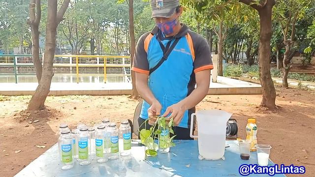MEMBUAT POT GANTUNG DARI BOTOL BEKAS смотреть онлайн