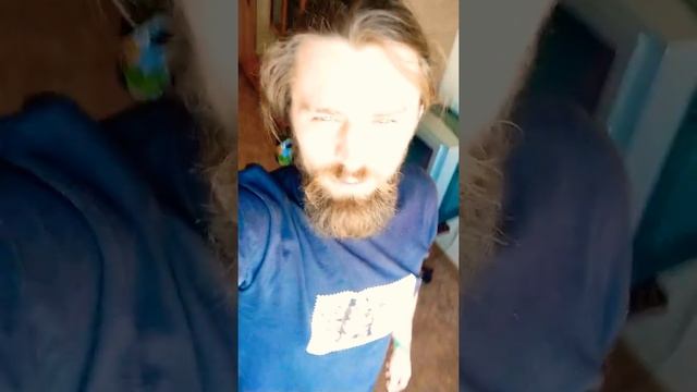 ?♂️ йоги не болеют НИЧЕМ, КоронаВирус не страшен / Доска Садху в буднях смотреть онлайн