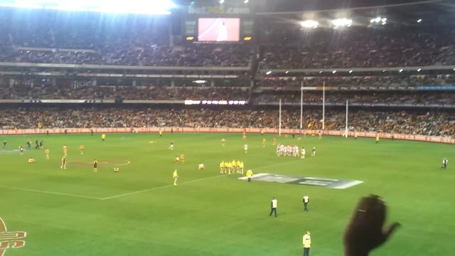 Tom Hawkins Goal After the Siren (View From the Stands) Sinks Hawthorn Again - AFL - 2012 смотреть онлайн