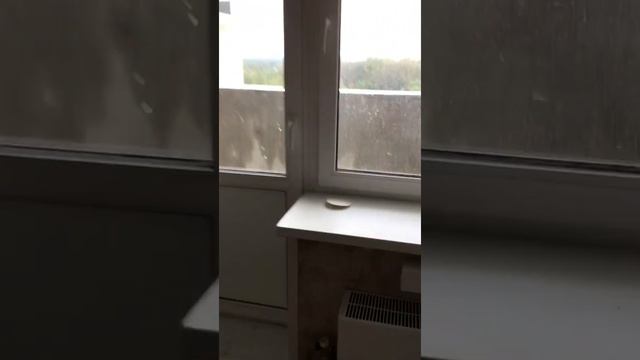 Обзор 1 комнатной квартиры смотреть онлайн