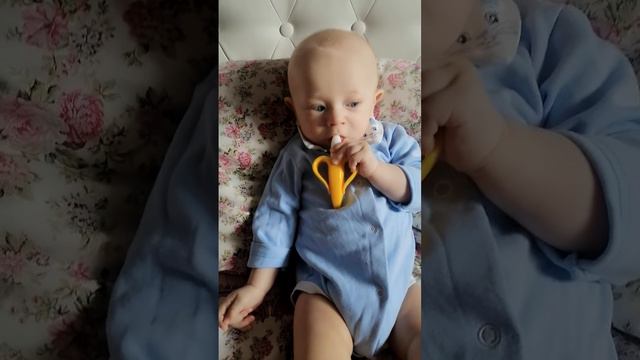 Грызем прорезыватель для зубов