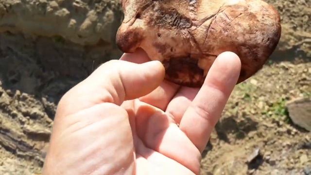 Грузия Ткибули. Открываю купальный сезон. смотреть онлайн