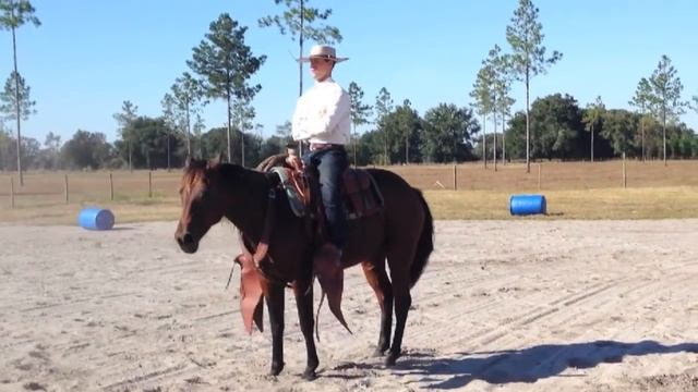 Vaquero Bridle Horse смотреть онлайн
