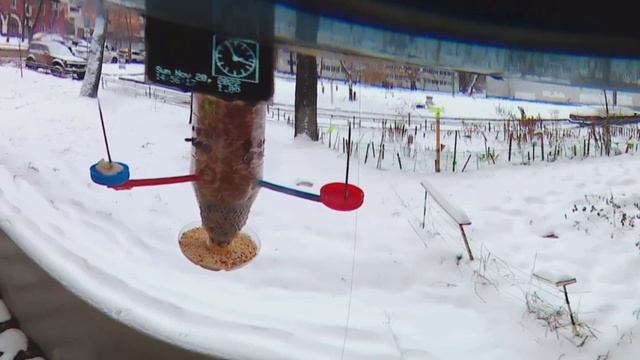 Под окном 2022 нояб 19 - 21 Движение бабульки прогулки с коляской зассанец крушитель смотреть онлайн