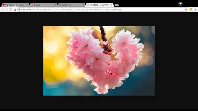 Климакс - это программа уничтожения или...? Часть I смотреть онлайн