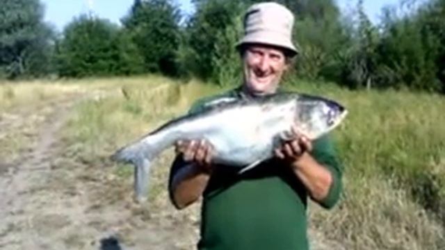 счастливый Иванов смотреть онлайн