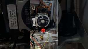 Газовый котел Immergas Eolo star 24  , небольшой обзор.