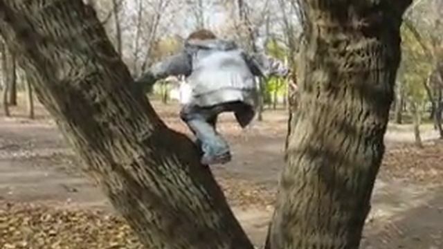 Петя и Яся на дереве 030.AVI смотреть онлайн