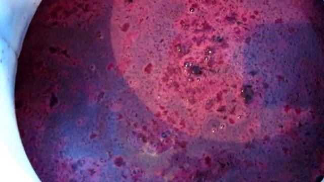 Активность БРОЖЕНИЯ СУСЛА УМЕНЬШИЛАСЬ, а я туда сахара 250 бац смотреть онлайн