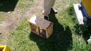 МНОГОКОРПУСНОЙ УЛЕЙ И УНИКАЛЬНАЯ СИСТЕМА ПЧЕЛОВОЖДЕНИЯ В ДЕЛЕ. умное пчелаводство. ч .1.