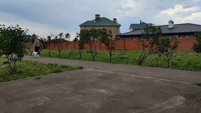 ODIS , ОДІС смотреть онлайн
