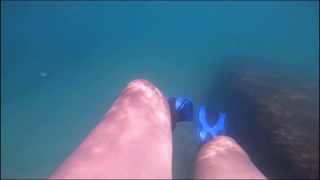 Finding HUMAN Bones On Deserted Island While Snorkeling ! * BAECATION * | Randy Mai смотреть онлайн