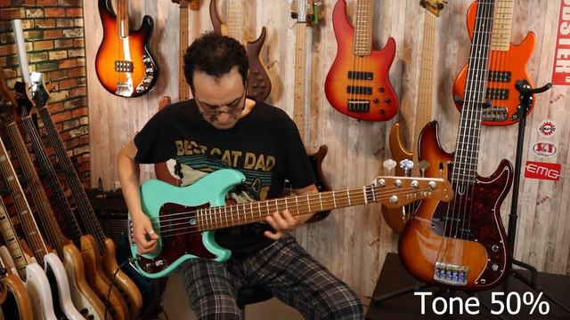 Sire P5 Vs P5R - Flatwound Vs Roundwound 5 String Comparison! - LowEndLobster Tone Shootout