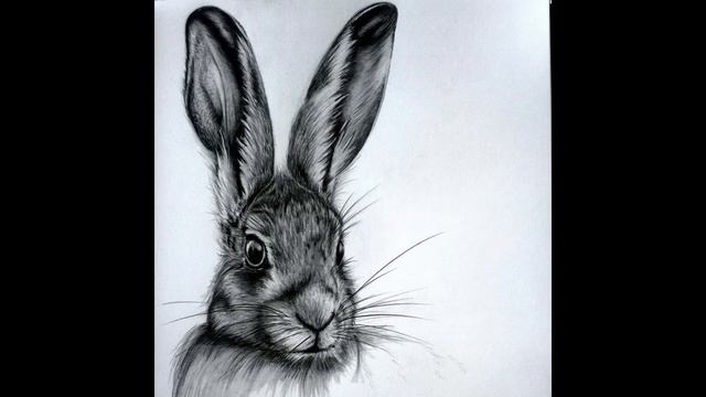 ХРАБРЫЙ КРОЛИК | Вьетнамская сказка