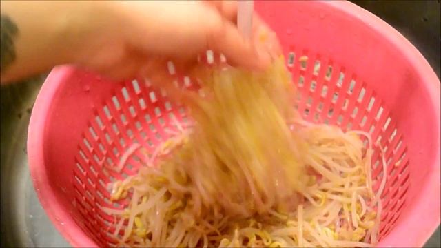 корейская кухня как приготовить Ростки фасоли 숙주나물무침 смотреть онлайн