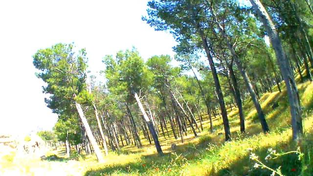 Спустился от замка левым путем.