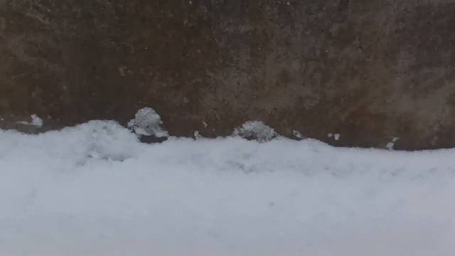 snowy jbl flip 6 bass test mono mode |снежный басс тест в моно мод флип 6 смотреть онлайн