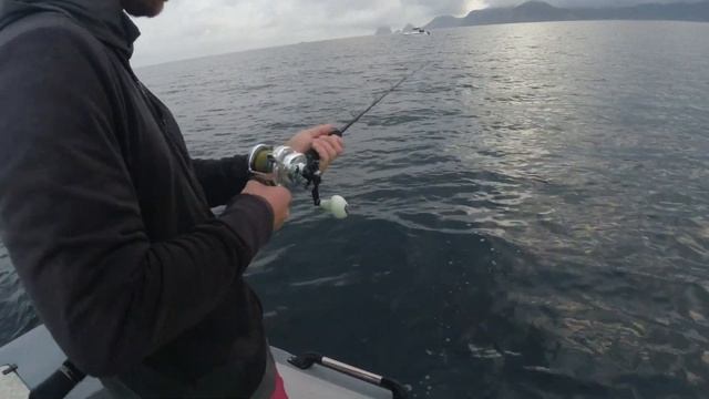 Рыбалка на Kingfish reef, Bay of islands, NZ смотреть онлайн