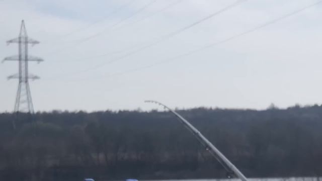 Рыбалка на ОКЕ / ЖИВЫЕ ПОКЛЁВКИ НА ФИДЕР смотреть онлайн