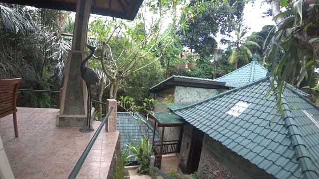BALI 2018 Prt.3 - 8 марта, Север Бали-Сингараджа, водопады, наша вилла,природа смотреть онлайн