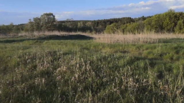 Металлокоп, неожиданные находки. смотреть онлайн