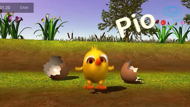 цыпленок пи без звука