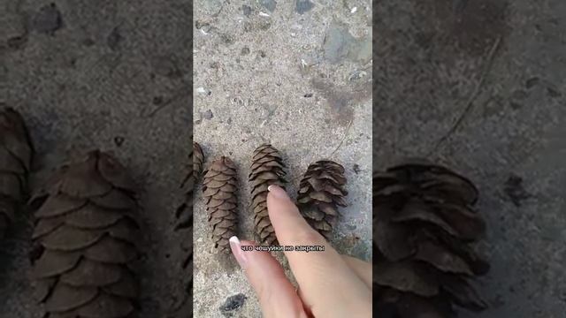 Степени повреждения волос ! смотреть онлайн