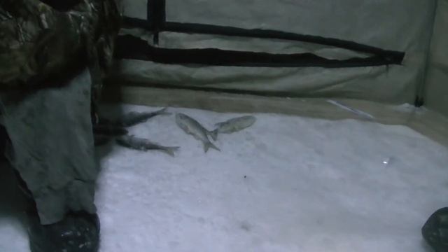 Зимняя рыбалка на сорогу, плотву, подлещика/ ловля ночью смотреть онлайн