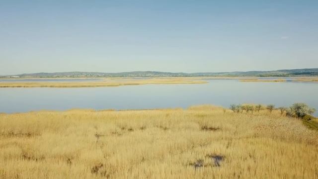 2021 год - критически важный год, в процессе Вознесения смотреть онлайн