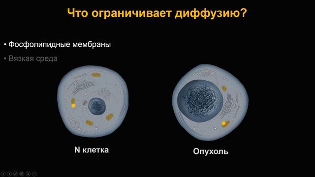 Основы МР-диффузии (часть 2)