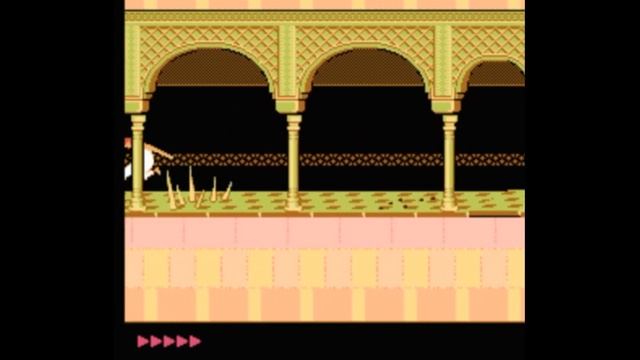 Dendy (Famicom,Nintendo,Nes) 8-bit Prince of Persia Level 6