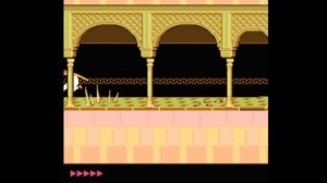 Dendy (Famicom,Nintendo,Nes) 8-bit Prince of Persia Level 6