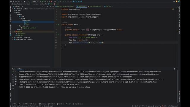 How To Use Lombok Logging Feature