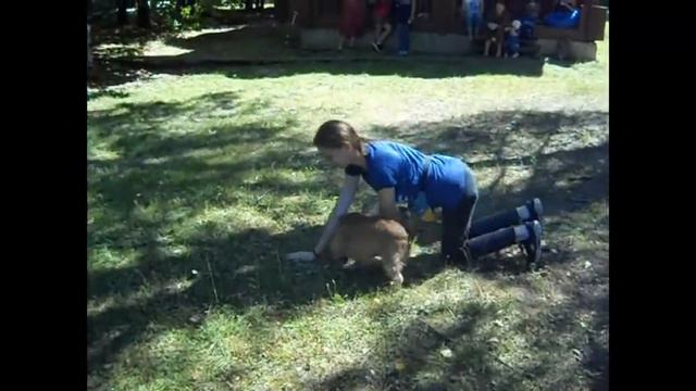 Екатерина Майсте и Клёпа. смотреть онлайн