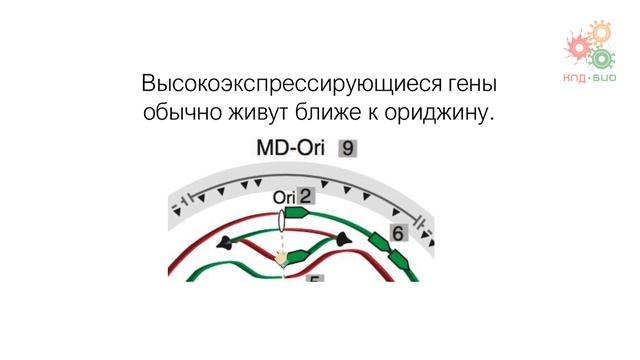 Заключение. Эпилог (без музыки) смотреть онлайн