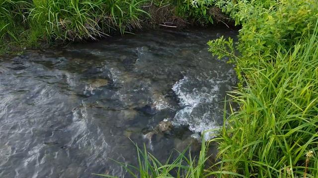 #naturesounds , 安穩舒眠,  звуки для сна, звук течения воды, звук реки, течет вода, River Sound