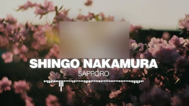 Shingo Nakamura - Sapporo [Silk Music]