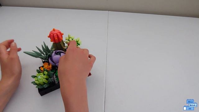 LEGO Creator Expert Succulents Review! смотреть онлайн